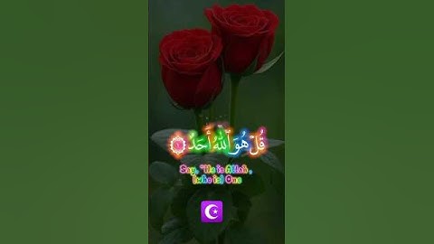 سورة الاخلاص #القرآن_الكريم #اكسبلور #المصحف #duet