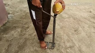 hand operated coconut cutting dehusking machine for home|trimming machine|husk peeling machine video