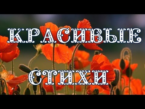 ЧИТАЮ СТИХИ.Красивые Стихи про ЛЮБОВЬ.Ты спишь, как ребёнок, ладошки сложив...Стихи под Музыку.