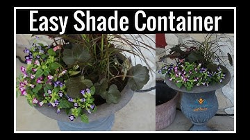 Easy Shade Planter | Flowers That Grow Well in Shade | This and That with Denise Jordan