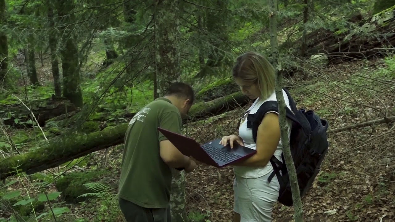 Projekat Posmatranje medvjeda u NP Biogradska gora