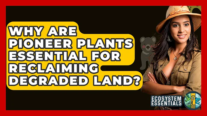 Why Are Pioneer Plants Essential For Reclaiming Degraded Land? - Ecosystem Essentials