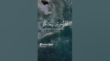 ✨ ﴿مَا كَانَ مُحَمَّدٌ أَبَا أَحَدٍ مِّن رِّجَالِكُمْ﴾ ✨ تلاوة خاشعة .. الشيخ المنشاوي #قرآن