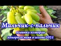 Мальчик-с-пальчик  новинка которая покорила меня в сезоне 2021