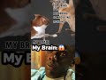 My Brain Trying to Learn Blender:😱