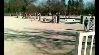 CSO montauroux