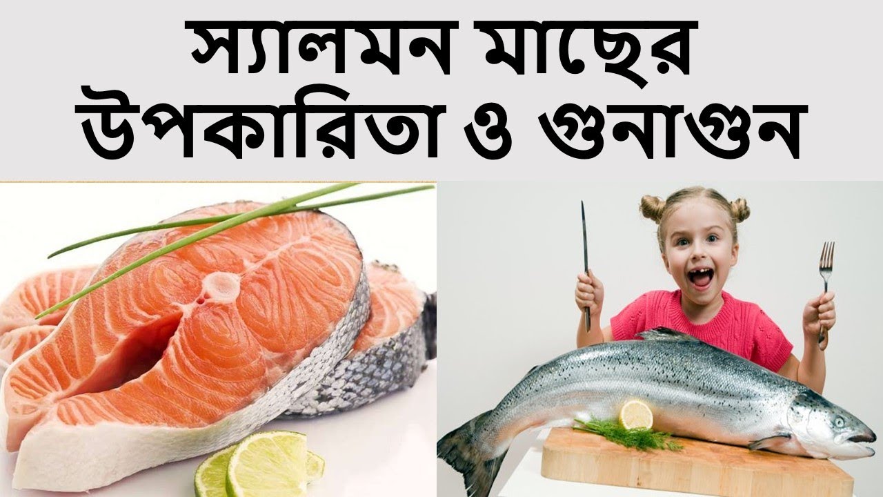 স্যালমন মাছ খাওয়ার উপকারিতা ও গুনাগুন Salmon Fish Benefits স্যালমনের