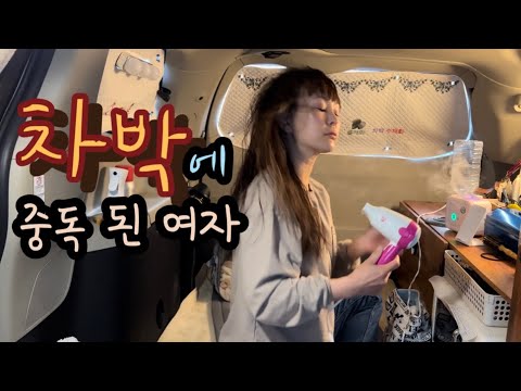 [시에나차박] 집에 있기 싫어서 차박행진/  내 나라 한바퀴/ 댕댕이랑 함께하는/영남권 댕댕이랑 함께하는