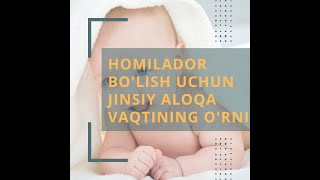 Homilador Bolish Uchun Jinsiy Aloqa Vaqtining Orni 