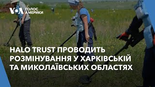 HALO Trust проводить розмінування у Харківській та Миколаївських областях