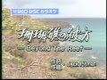 珊瑚礁の彼方~BEYOND THE REEF~  rocky  【cover】.mpeg