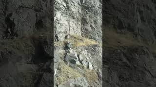 Nasik🏔️⛰️#shorts #shortvideo #shortsfeed #youtubeshorts#youtubevideo #ytshorts #mountains