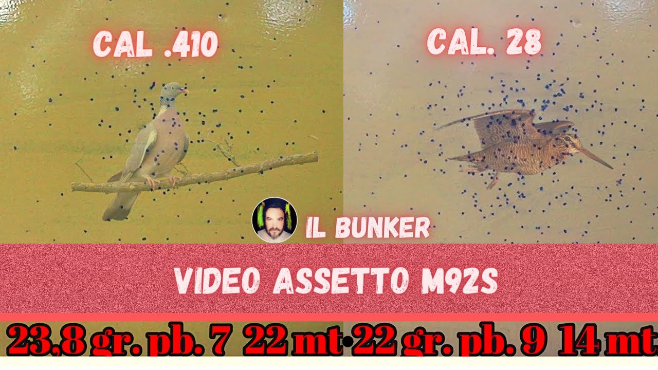 Caricamento cartuccia dispersante Cal. 28 & subsound Cal .410 - M92s -