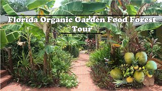 Florida Organic Edible / Tropical Garden Food Forest Tour | July Zone 10a