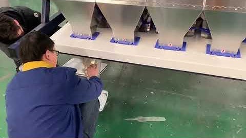 Sortdek A-Series model sunflower seeds color sorting