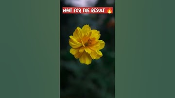 snapseed editz #snapseed #snapseedediting #photoeditingtutorial #backgroundblur #shorts #shortsvideo