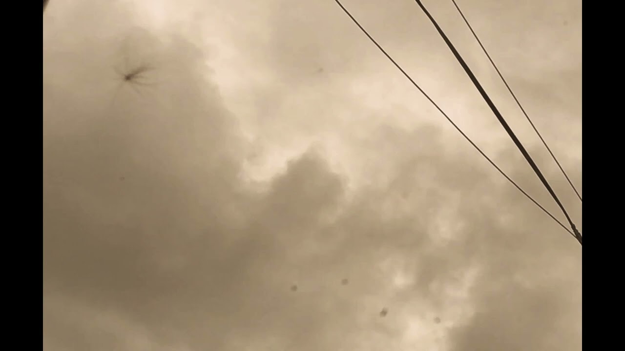 The crimes of this guilty land