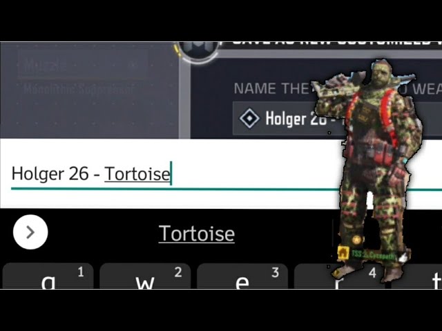 My Holger is a Tortoise