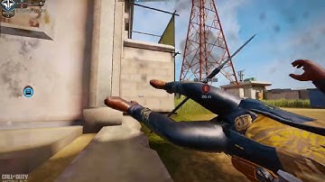 CODM but playing with the slowest ads locus