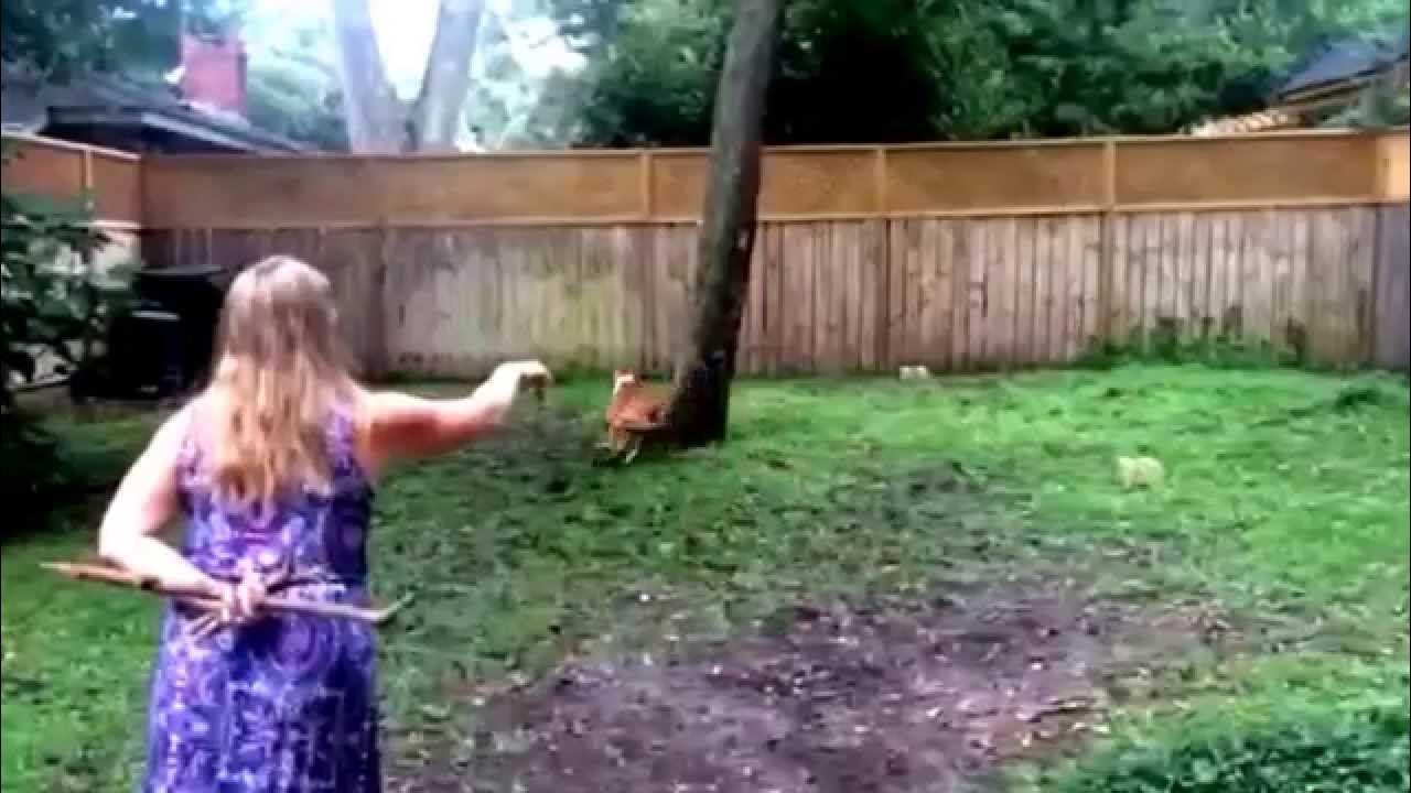 How to Play Sticks YouTube