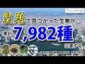 【国立科学博物館】皇居で見つかった生物が累計7,982種に達する！ #かはく #プレスリリース