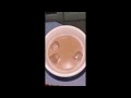 1й в Мире КОФЕ для СОБАК ☕🐩 - BARKISTA - не путать с BARISTA (от «to Bark» = «лаять») Без кофеина ))