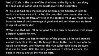 Genesis 2 New International Version (NIV)