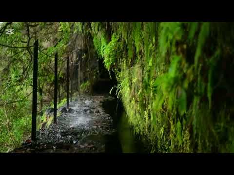 نشيد يا حامل القرآن بدون موسيقى للمنشدة هند آيت تاعبوت