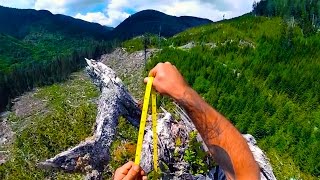 САМОЕ ВЫСОКОЕ, БОЛЬШОЕ ДЕРЕВО В МИРЕ HIGHEST TREE IN THE WORLD САМОЕ ВЫСОКОЕ, БОЛЬШОЕ ДЕРЕВО В МИРЕ HIGHEST TREE IN THE WORLD