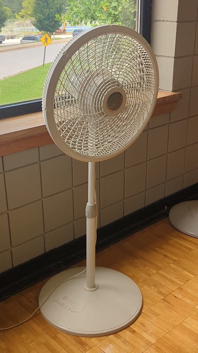Lasko Cyclone Pedestal Fan #fans #sighting #shorts #lasko