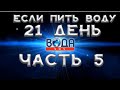 Проект Вода-SOS! ЧАСТЬ 5! Вода и Желудок!!