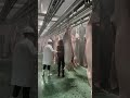 中桂農屠宰加工中心 專業生豬定製服務讓人滿意 中桂農屠宰加工中心 專業生豬定製服務讓人滿意