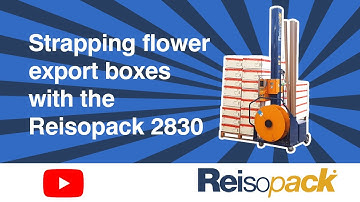 Strapping Flower Export boxes with the Reisopack 2830