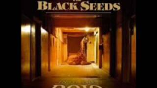 The Black Seeds - Got a Girl