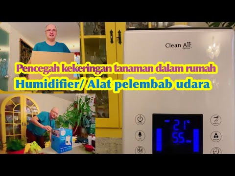 Video: Cara Melembapkan Udara Di Rumah Anda