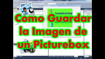 Como guardar la imagen de un Picturebox en Visual Basic.Net