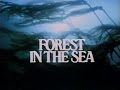 Forest in the Sea (1983)