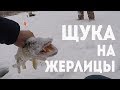 Ловля щуки на жерлицы 2019. На пути к правильным жерлицам. Прочный ли поводок из флюра? Выясняем!