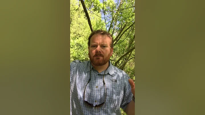 Napa River salmon update with RCD Biologist Jonath...