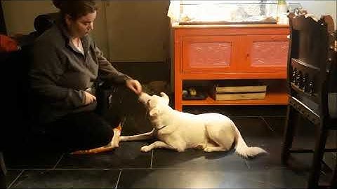 Tessa van Heumen, Lesson 4, exercise 4.1, Shaping a head dip