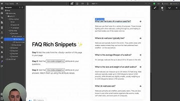 The Easiest Way To Add Rich Snippets/Schema In Webflow