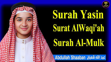 القرآن الكريم: يس + الواقعة + الملك | تلاوة تجمع البركة في ليلة واحدة