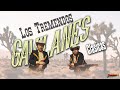 Los Tremendos Gavilanes - Clasicas Inolvidables!