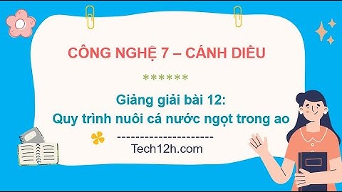 Giảng bài 12: Quy trình nuôi cá nước ngọt trong ao | Bài giảng công nghệ 7 cánh diều