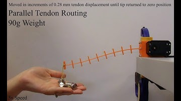 Comparison of Parallel and Converging Tendon Routing