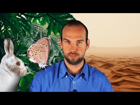 Video: In che modo il riscaldamento globale influisce su piante e animali?