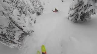 Kicking Horse and Revelstoke Mountain Resort Ski Edit -  2022