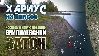 Хариус на Енисее. Новая локация - Ермолаевский Затон. Из дневника рыбака - 2024.