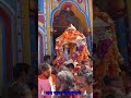 जय बाबा केदारनाथ 🙏🏻🙏🏻
