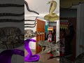 Real life Dinosaur Trex attack Animal funny video Anaconda snake python in my house #vfx magic 21